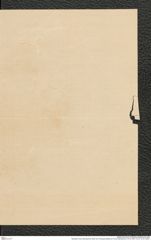 Nachlass Franz Steindachner, Brief von Christophe Bellotti an Franz Steindachner (15.03.1881), Inv.Nr. 32.03, Seite 3